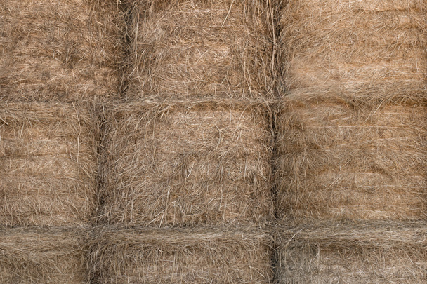 Тюки из сена - Фото, изображение
