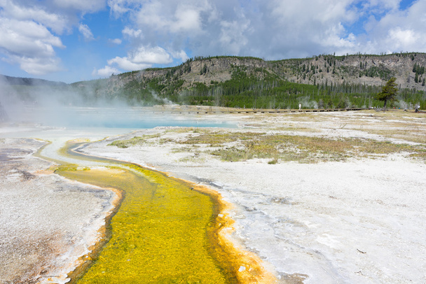 Piscina geotermica e batteri colorati nel Parco Nazionale di Yellowstone presso la Grand Prismatic hot spring, Wyoming, Stati Uniti
 - Foto, immagini