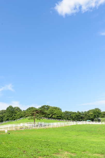 krajobraz koń Ranch - Zdjęcie, obraz