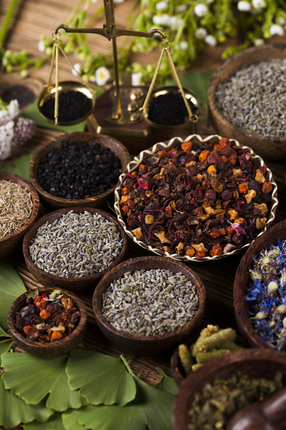 Assorted natural medical herbs - Photo, Image
