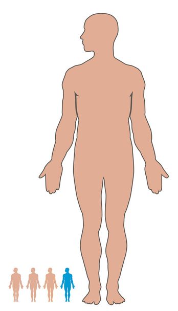 Man body - Vector, afbeelding