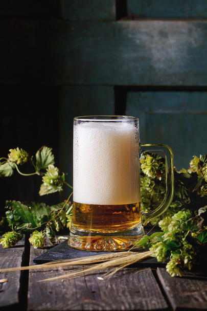 Mug of lager beer - 写真・画像