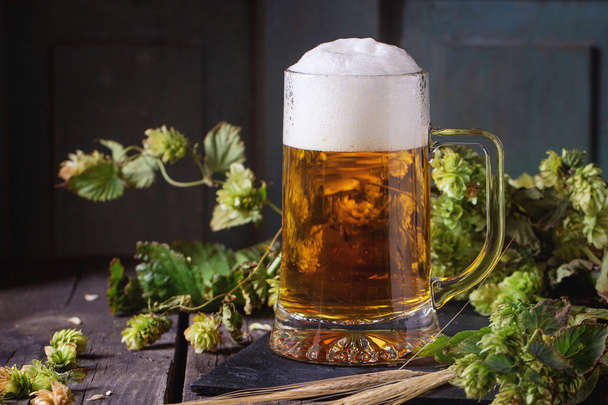 Mug of lager beer - Fotó, kép