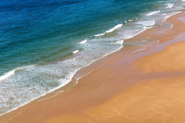 波の穏やかな海岸線 - 写真・画像