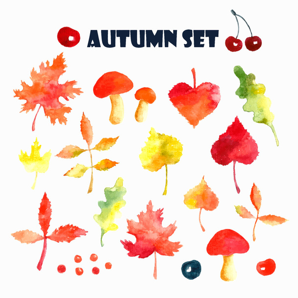 Watercolor autumn set. - Vektor, obrázek