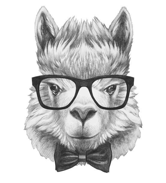 Lama with glasses and bow tie - Foto, immagini