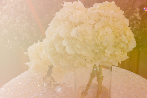 bunch of white rose and hydrangea with soft focus and color filt - Photo, Image
