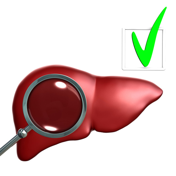 Testando o fígado humano vermelho com magniglass
 - Foto, Imagem