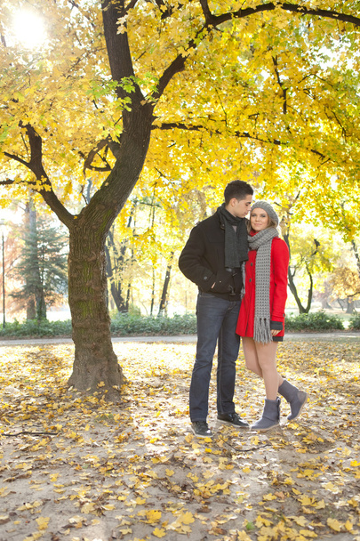Young couple under autumn tree - Фото, изображение