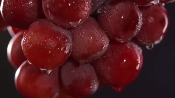 Red grapes with water drops. Studio macro shot - Imágenes, Vídeo