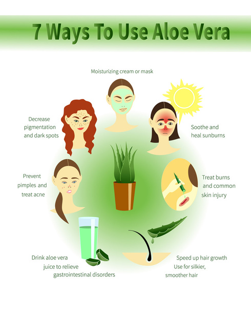 Infografía de Aloe Vera. Usos del aloe
. - Vector, Imagen