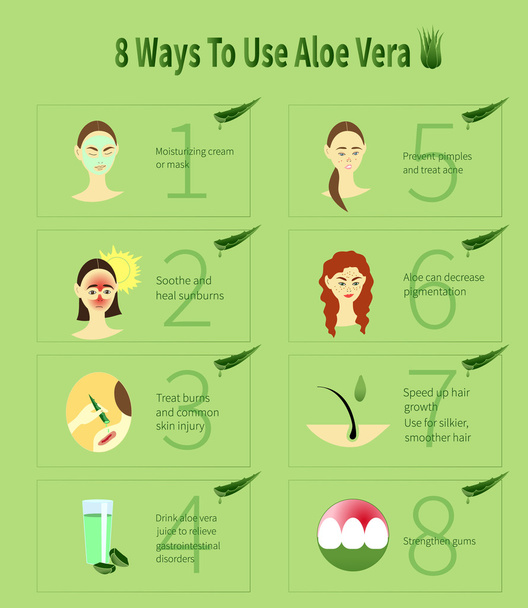 Aloe Vera infographic. Aloe-felhasználás. - Vektor, kép
