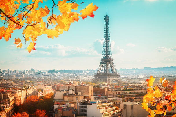 Eiffel-túra és párizsi városkép - Fotó, kép