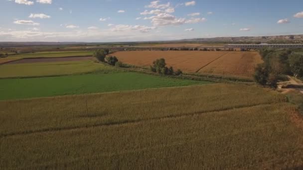 Gyorsvonat közelében termesztett kukorica a területen - Felvétel, videó