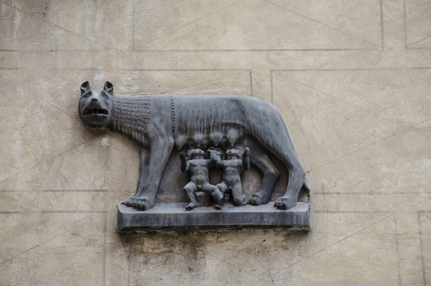 Vlk symbolu Říma - Fotografie, Obrázek
