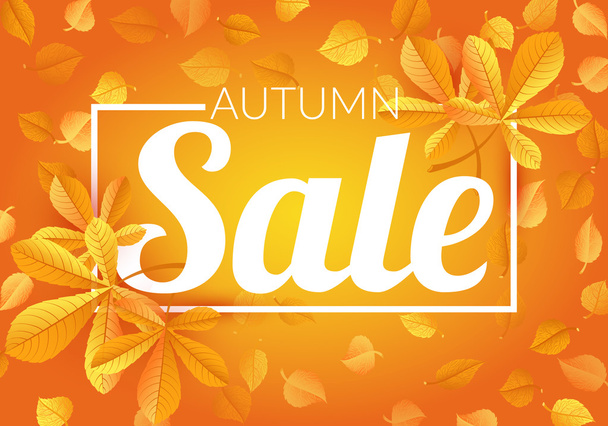 Autumn sale background - Vector, Image