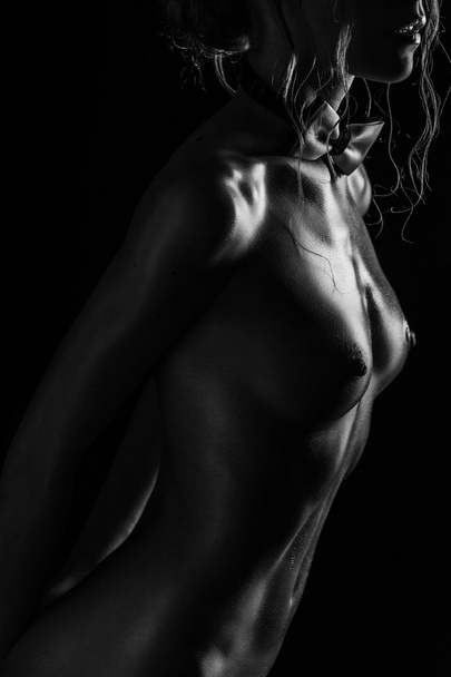 Sensual attractive model posing in studio, perfect slim body. - Fotó, kép