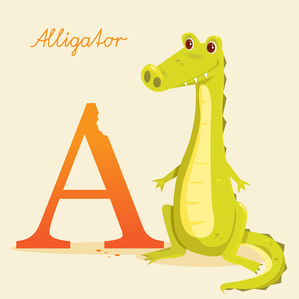 alfabeto animal com jacaré
 - Vetor, Imagem