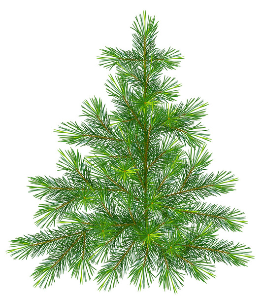 Christmas tree, realistic vector illustration - Vector, Image