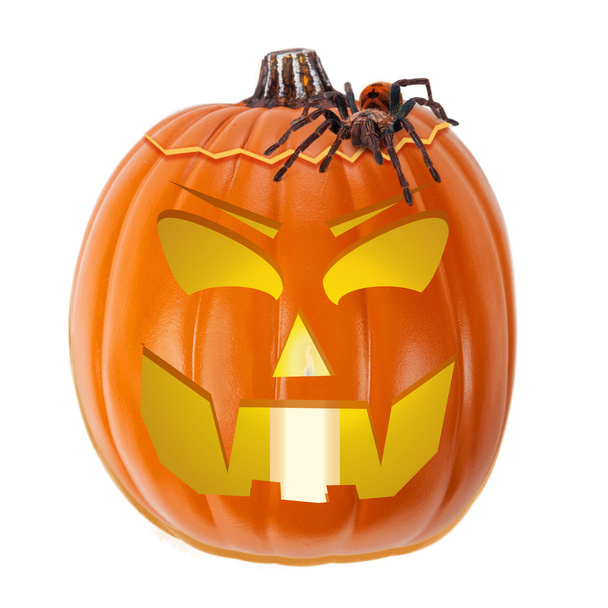 spaventoso halloween jack-o-lanterna con tarantola ragno
 - Foto, immagini