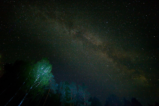 Night starry sky scene - Foto, Imagen