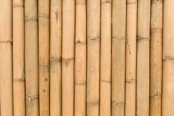 textura de pared de bambú
 - Foto, Imagen