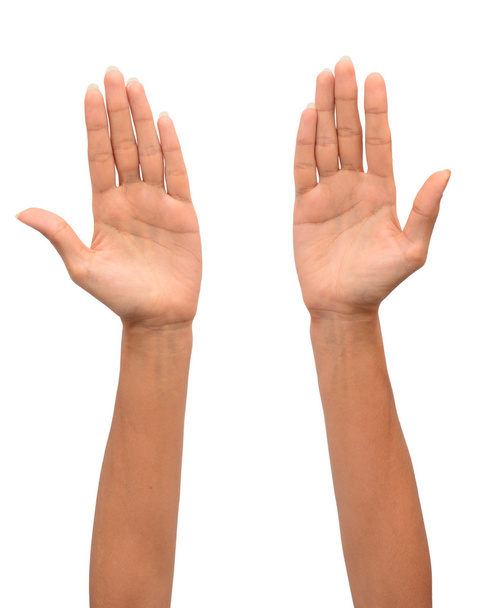 Deux mains de femme
 - Photo, image