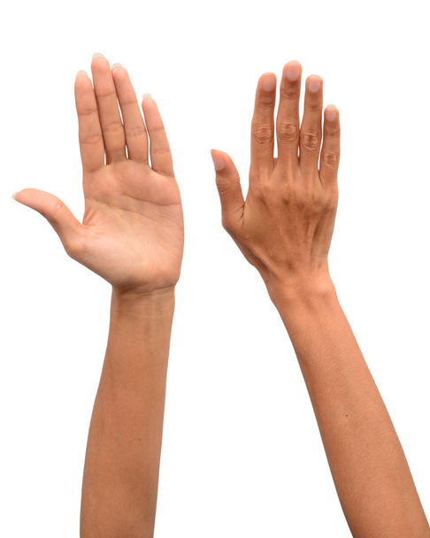 Dos manos de mujer
 - Foto, imagen