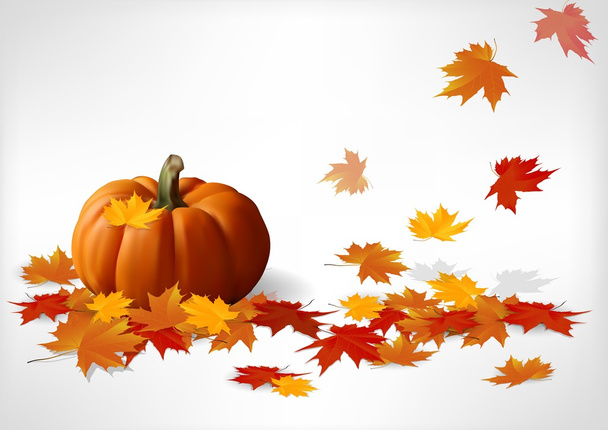Autumn and pumpkins white background - Vector, Image