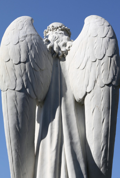 Winged angel - Photo, Image