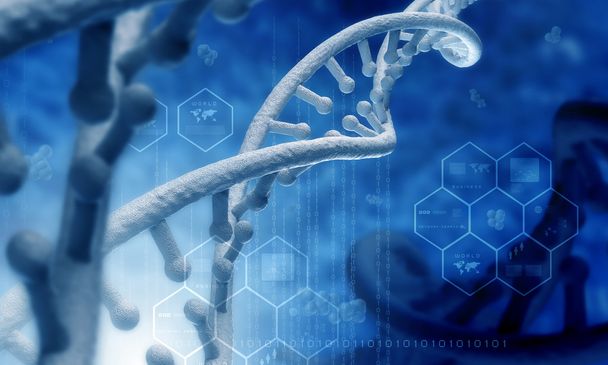 Molécula de ADN
 - Foto, Imagen