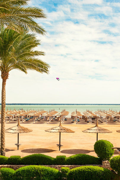 Wattled straw umbrellas on sunny summer beach. Egypt. - Fotografie, Obrázek