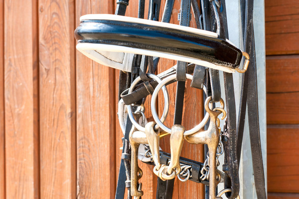 Pferdezaum, der an einer stabilen Holztür hängt. Nahaufnahme im Freien. - Foto, Bild