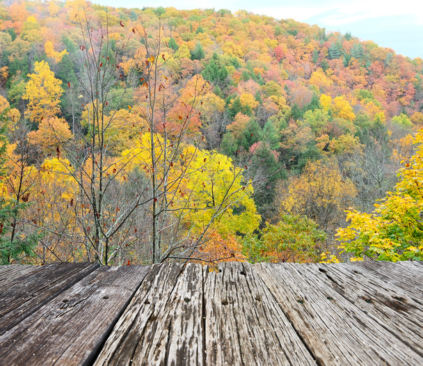 Herfst bij Robert H. Treman State Park - Foto, afbeelding