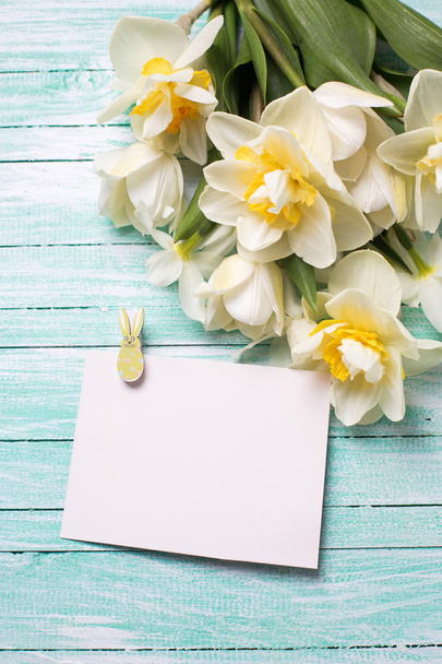 daffodils and empty tag - Foto, Imagem