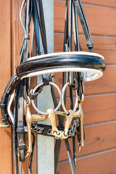 Horse bridle hanging on stable wooden door. Closeup outdoors. - Photo, Image