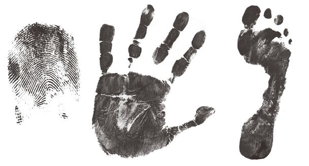 Impresión de dedos, manos y pies
 - Vector, imagen