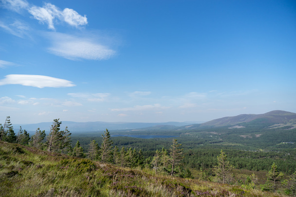Pohled z Cairngorms směrem k Loch Morlich - Fotografie, Obrázek