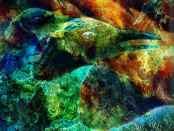 the phoenix bird   collage - Fotó, kép