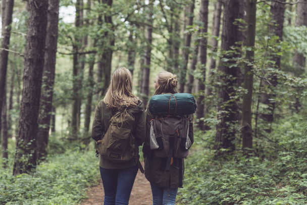 Orman üzerinde yürüme arkadaşları - Fotoğraf, Görsel
