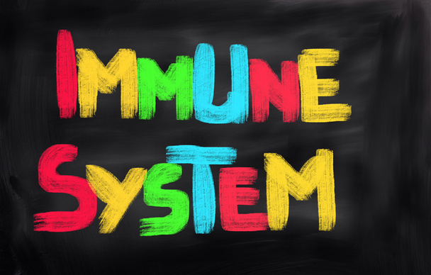 Immune System Concept - Photo, Image