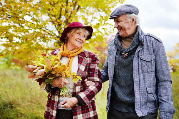 Couple retraité marchant dans le parc d'automne
 - Photo, image