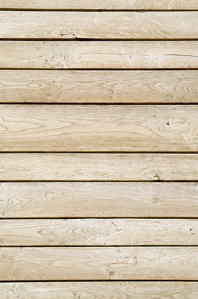 Light wood wall closeup - Photo, Image