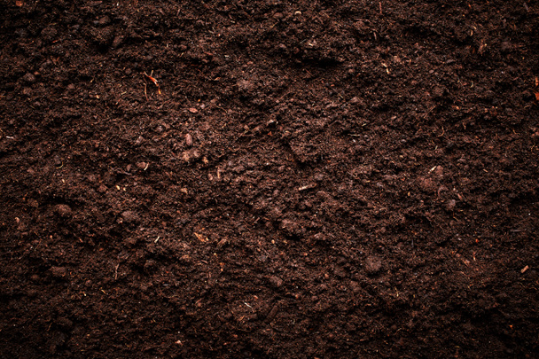 Soil - Photo, Image