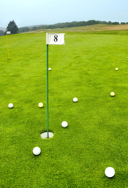 Jogar golfe
 - Foto, Imagem