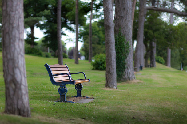 Remembrance bench - Photo, Image