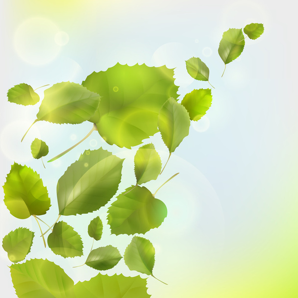 leaf background - Vettoriali, immagini