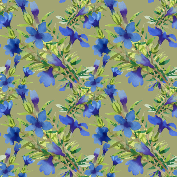 Watercolor blue flowers - 写真・画像