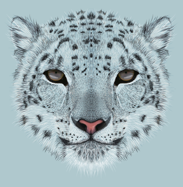 Επεξηγηματικός πορτρέτο Leopard χιονιού - Φωτογραφία, εικόνα
