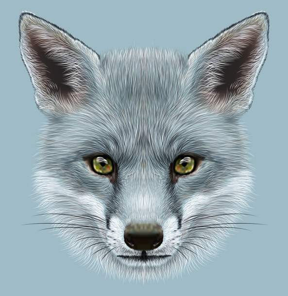 Szürke róka szemléltető portréja - Fotó, kép